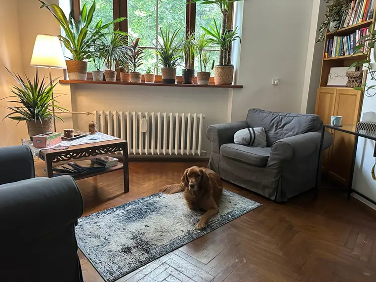 Gabinet Bonus Tempus – wnętrze